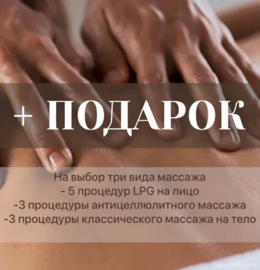 Студия красоты Птица