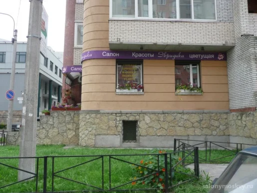 Салон Эвридика