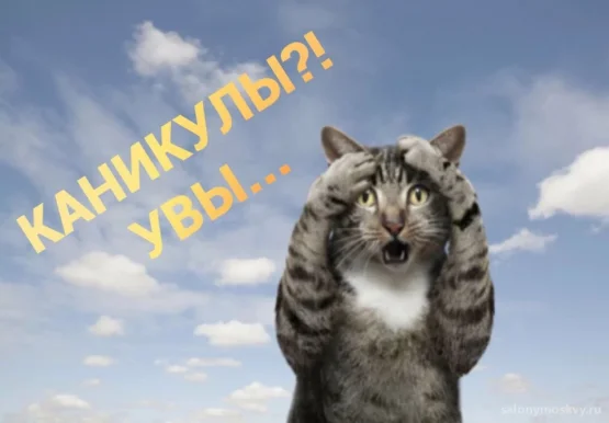 Салон красоты Прибалтийский