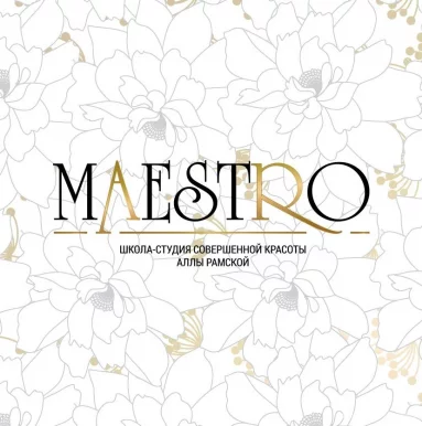 Школа-студия совершенной красоты Maestro