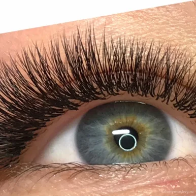 Студия бровей и наращивания ресниц Poly lash studio.vs