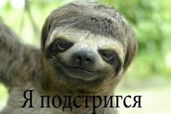 Парикмахерская Русалочка